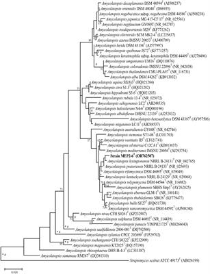 Comparative genomics reveals insight into the phylogeny and habitat adaptation of novel Amycolatopsis species, an endophytic actinomycete associated with scab lesions on potato tubers
